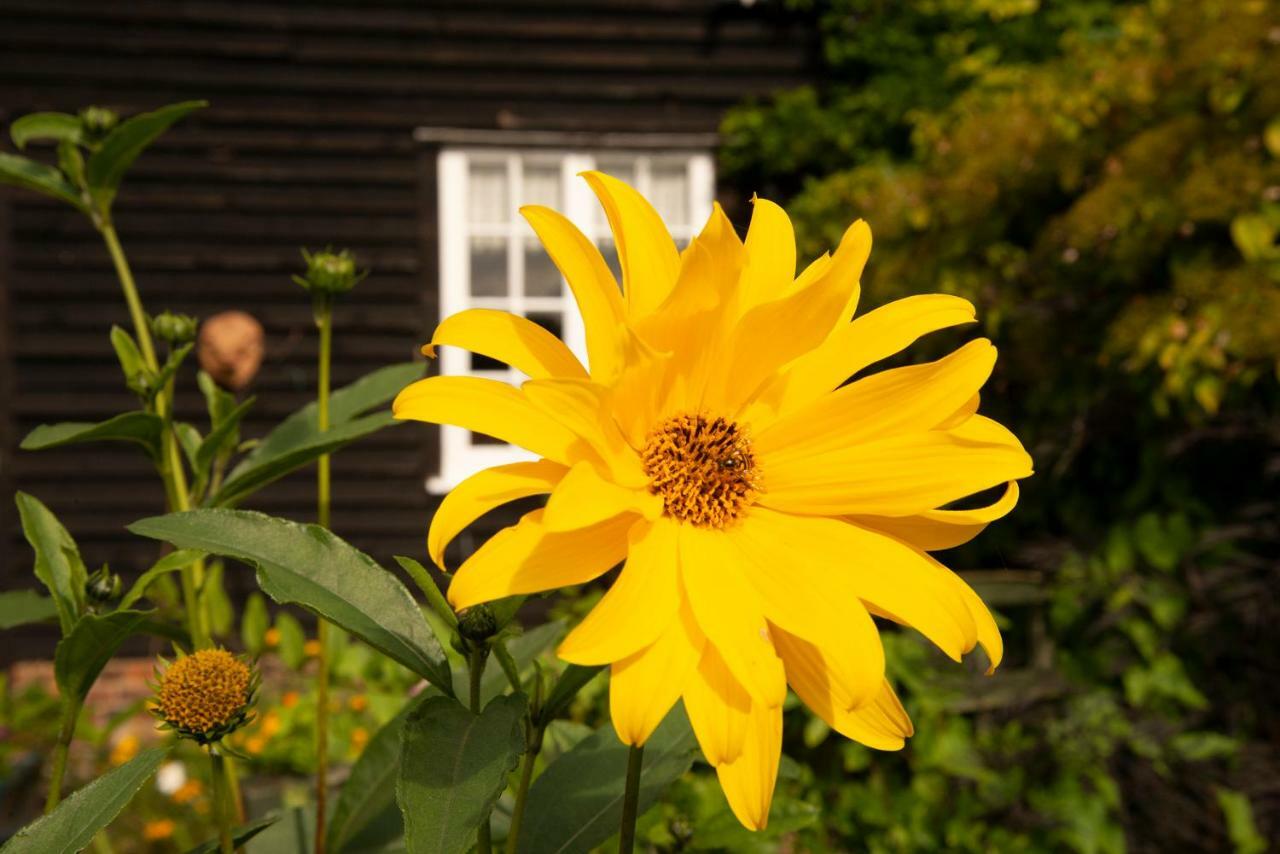 China Farm Barn Bed and Breakfast Canterbury Buitenkant foto